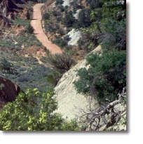 Dixie National Forest