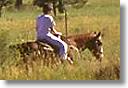 Reiten Reiten