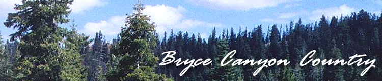 Dixie National Forest